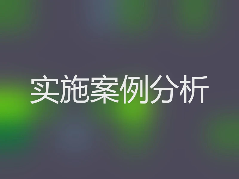 实施案例分析