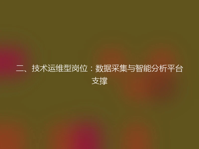 二、技术运维型岗位：数据采集与智能分析平台支撑