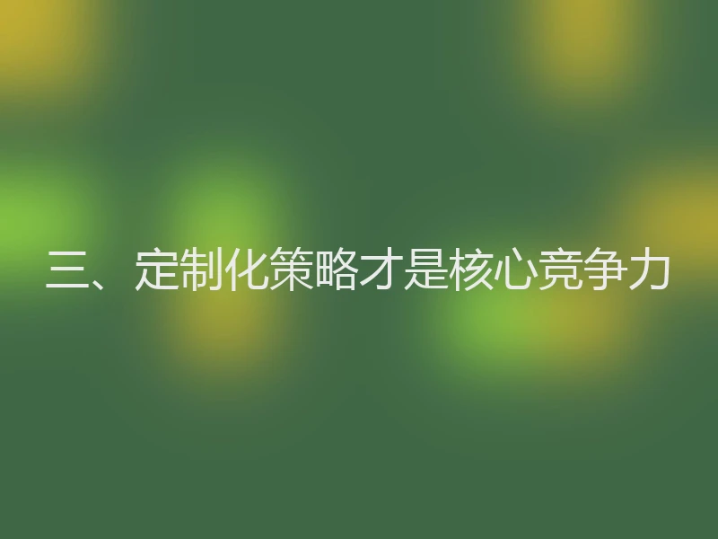 三、定制化策略才是核心竞争力