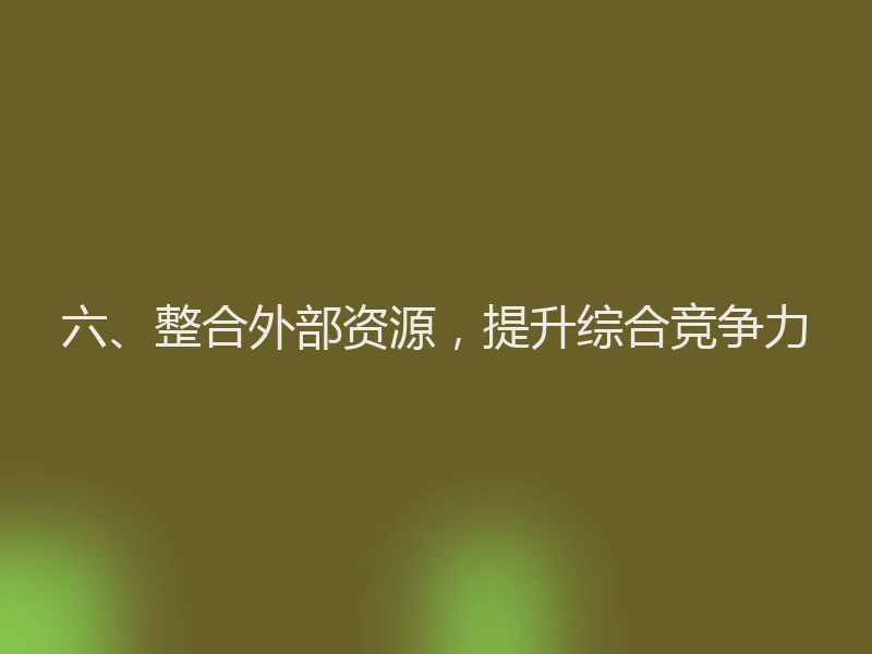 六、整合外部资源，提升综合竞争力