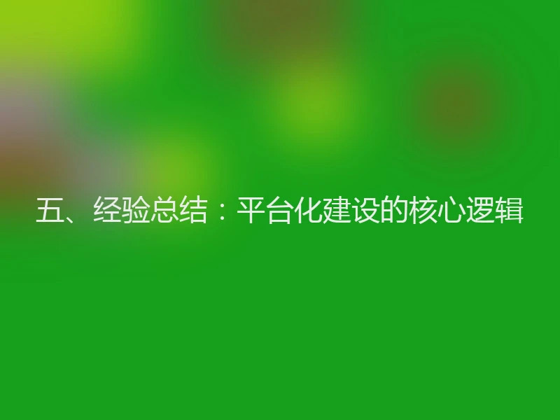 五、经验总结：平台化建设的核心逻辑