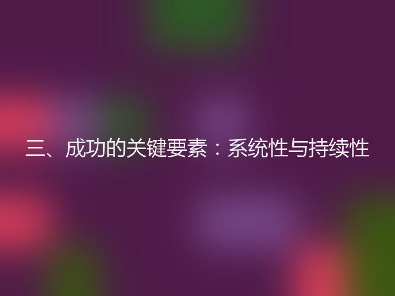 三、成功的关键要素：系统性与持续性