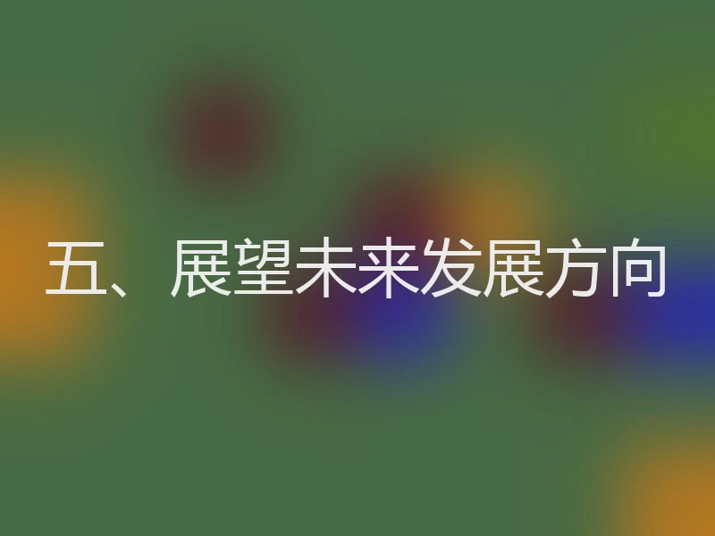 五、展望未来发展方向