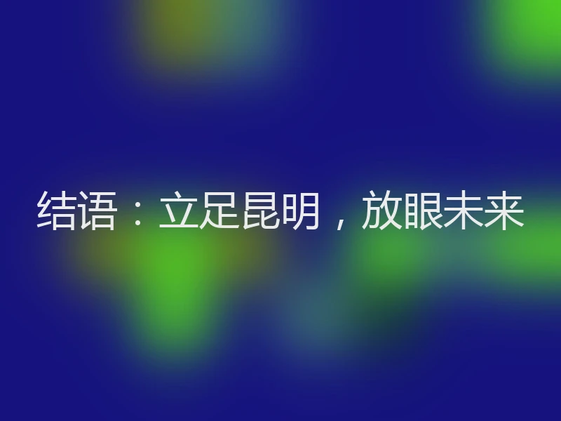 结语：立足昆明，放眼未来