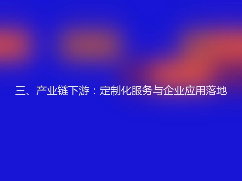 三、产业链下游：定制化服务与企业应用落地