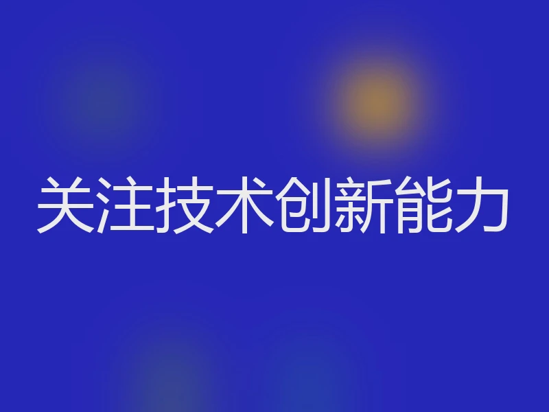 关注技术创新能力