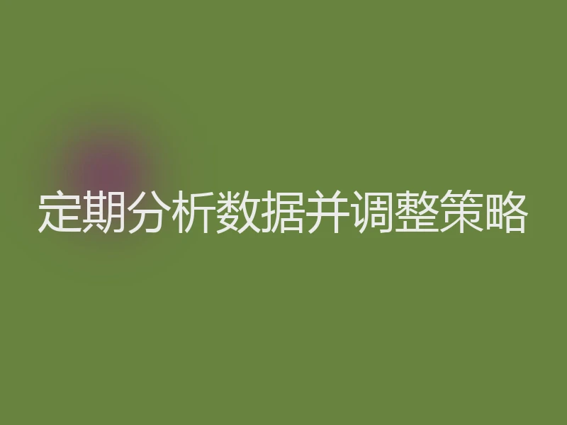 定期分析数据并调整策略
