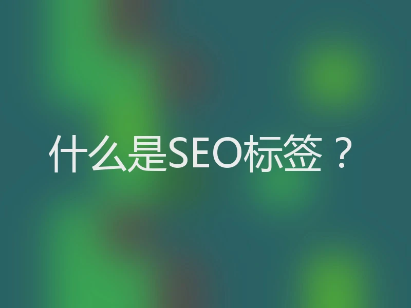 什么是SEO标签？