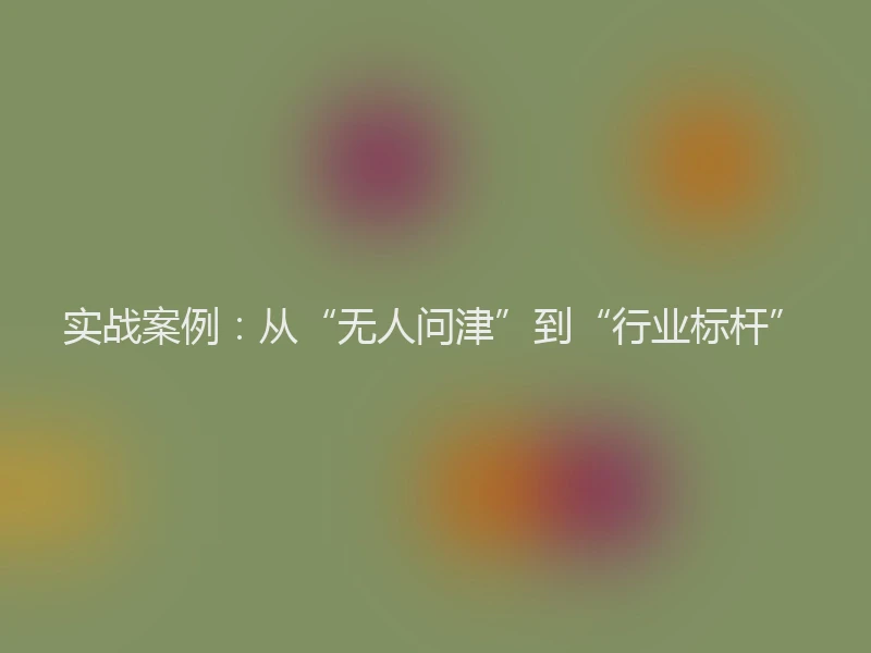 实战案例：从“无人问津”到“行业标杆”