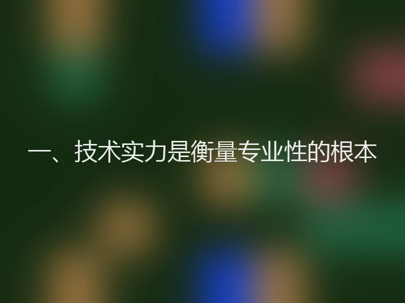 一、技术实力是衡量专业性的根本