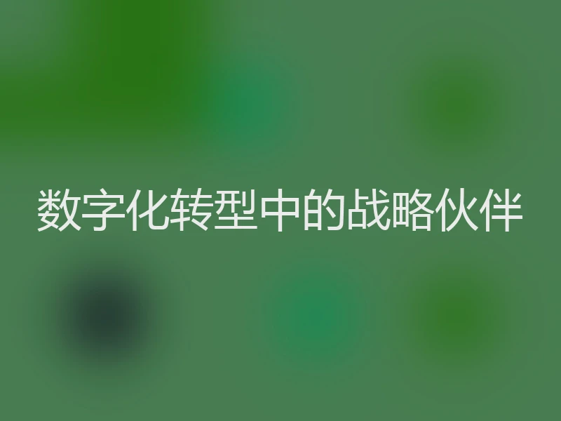 数字化转型中的战略伙伴