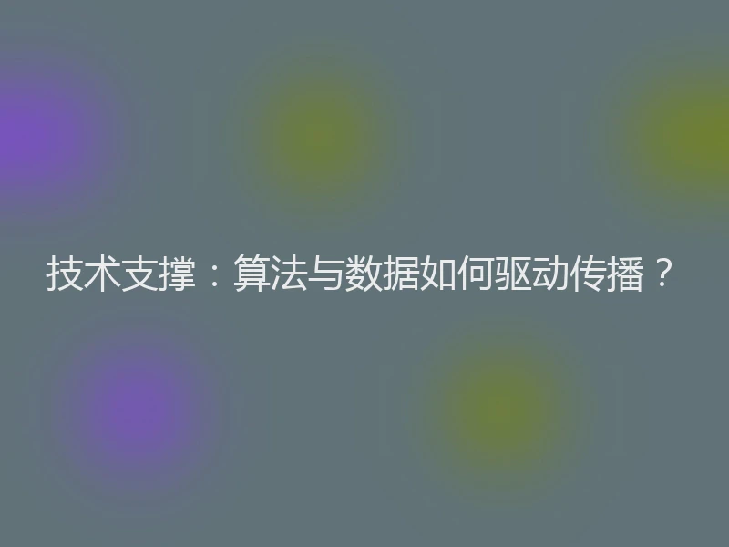 技术支撑：算法与数据如何驱动传播？