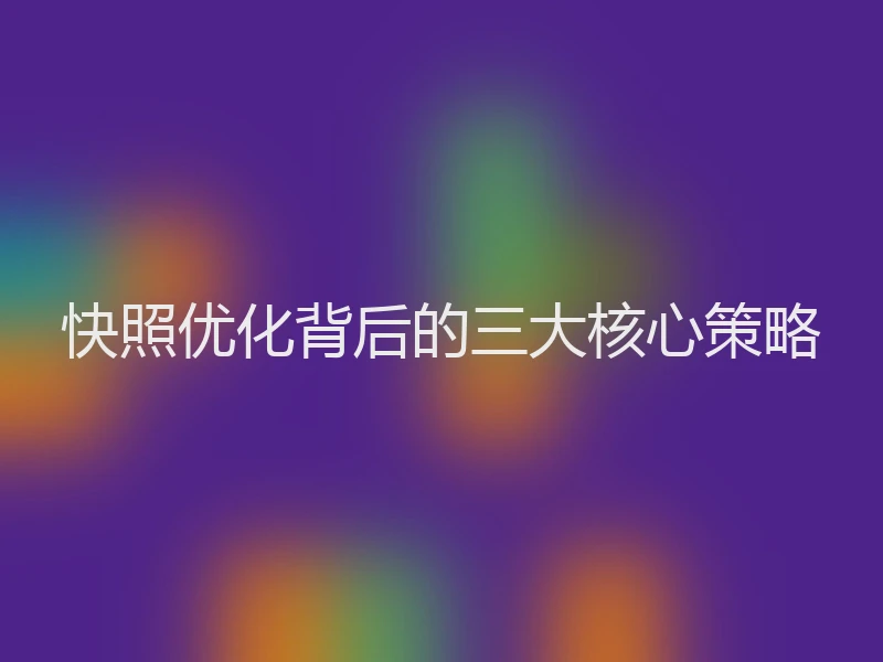 快照优化背后的三大核心策略