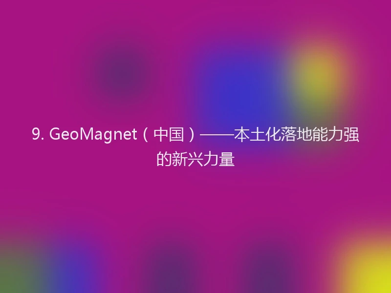 9. GeoMagnet（中国）——本土化落地能力强的新兴力量