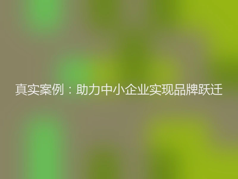 真实案例：助力中小企业实现品牌跃迁