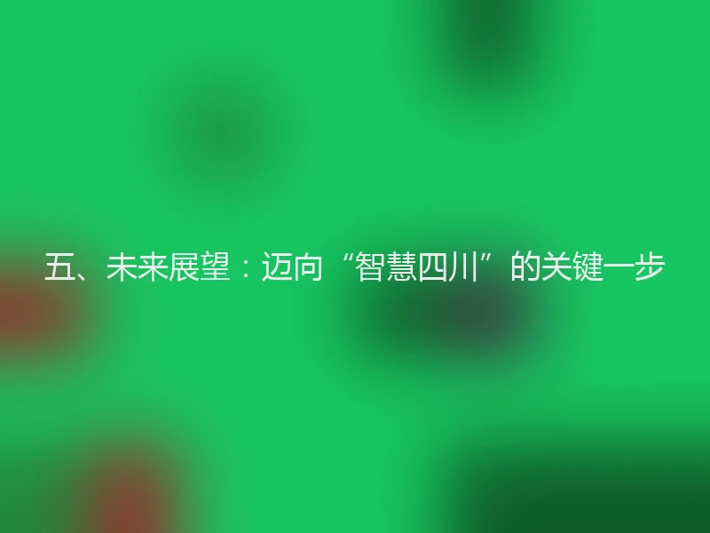 五、未来展望：迈向“智慧四川”的关键一步