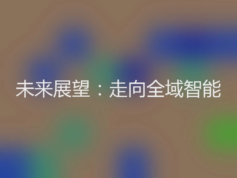 未来展望：走向全域智能
