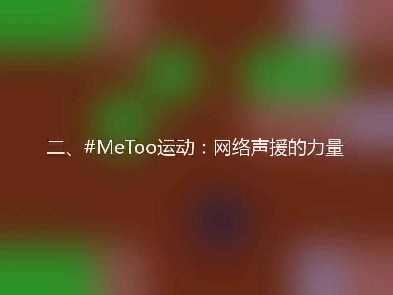 二、#MeToo运动：网络声援的力量