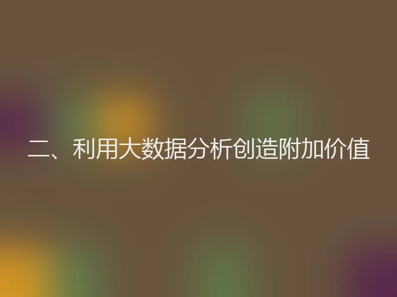 二、利用大数据分析创造附加价值