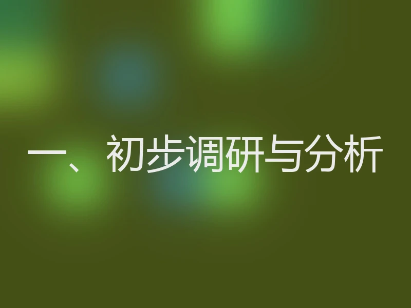 一、初步调研与分析