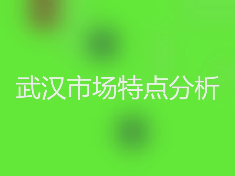 武汉市场特点分析