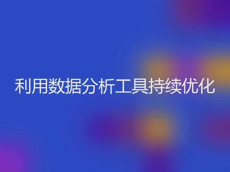 利用数据分析工具持续优化
