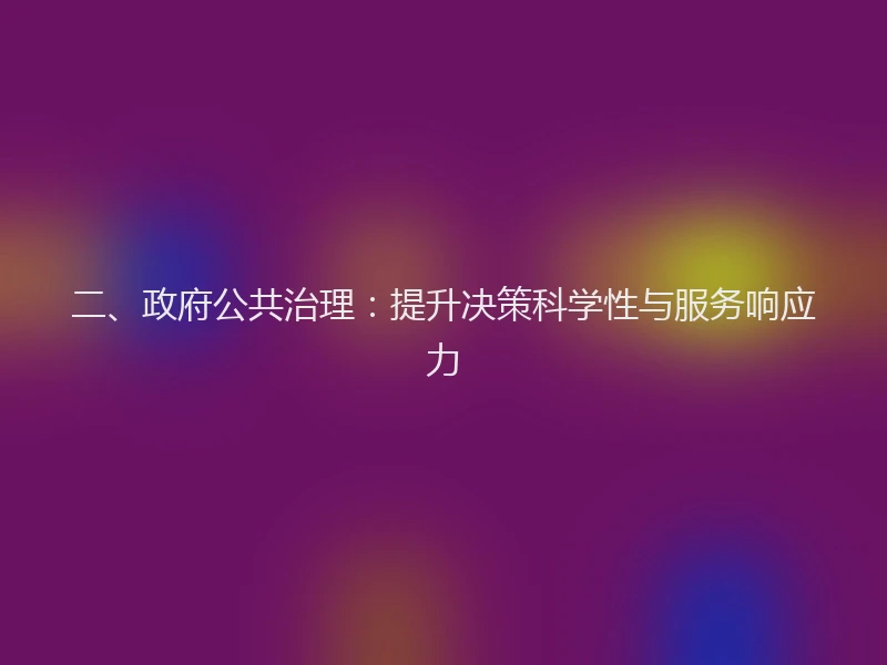 二、政府公共治理：提升决策科学性与服务响应力