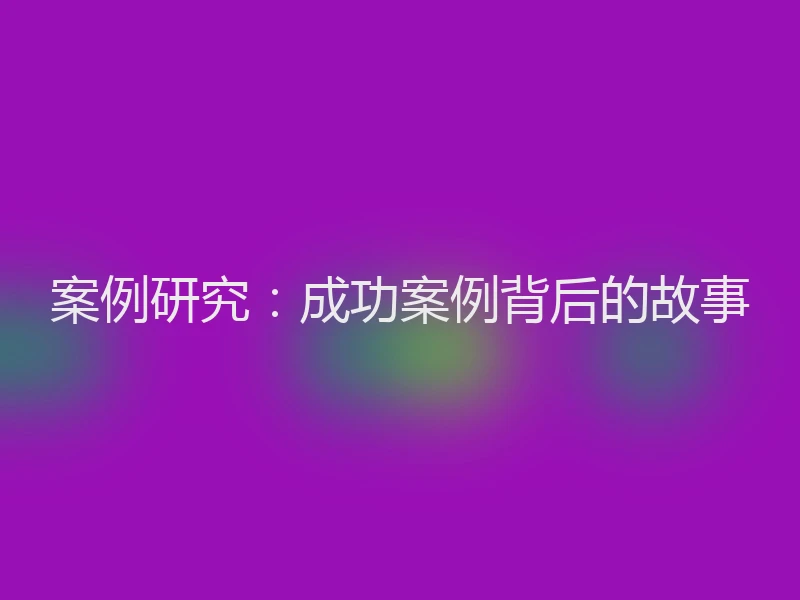 案例研究：成功案例背后的故事