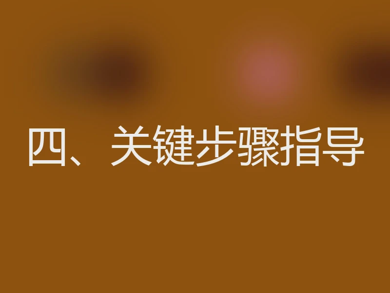 四、关键步骤指导