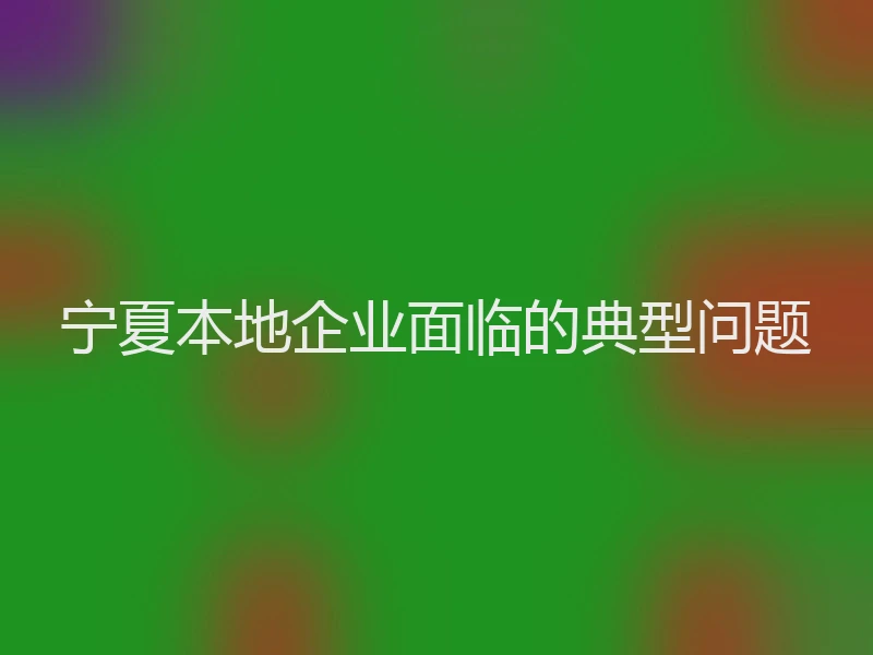 宁夏本地企业面临的典型问题