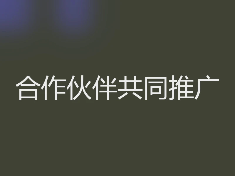 合作伙伴共同推广