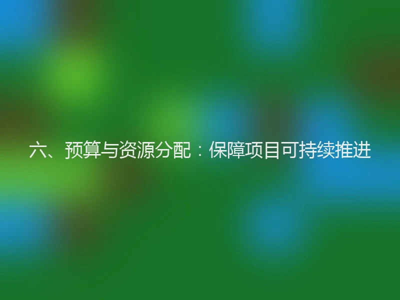 六、预算与资源分配：保障项目可持续推进