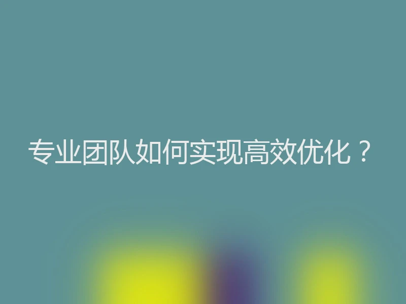 专业团队如何实现高效优化？