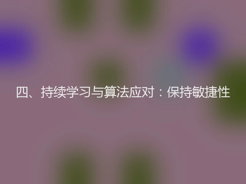 四、持续学习与算法应对：保持敏捷性