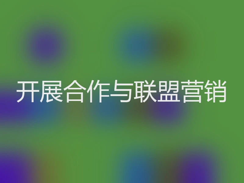 开展合作与联盟营销