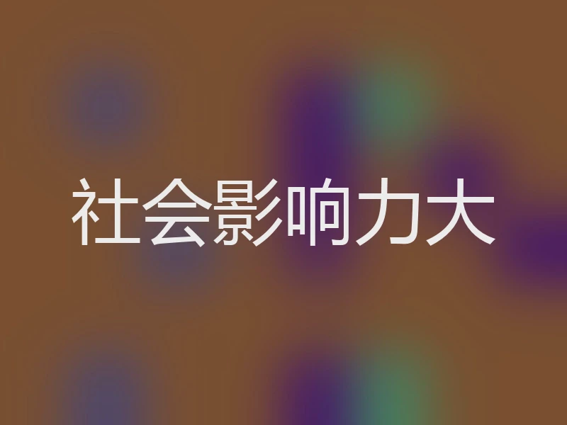 社会影响力大