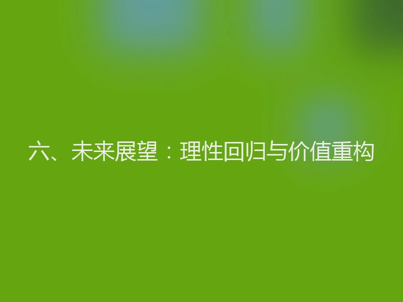 六、未来展望：理性回归与价值重构