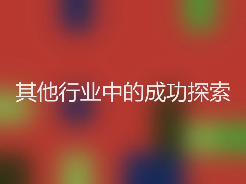 其他行业中的成功探索