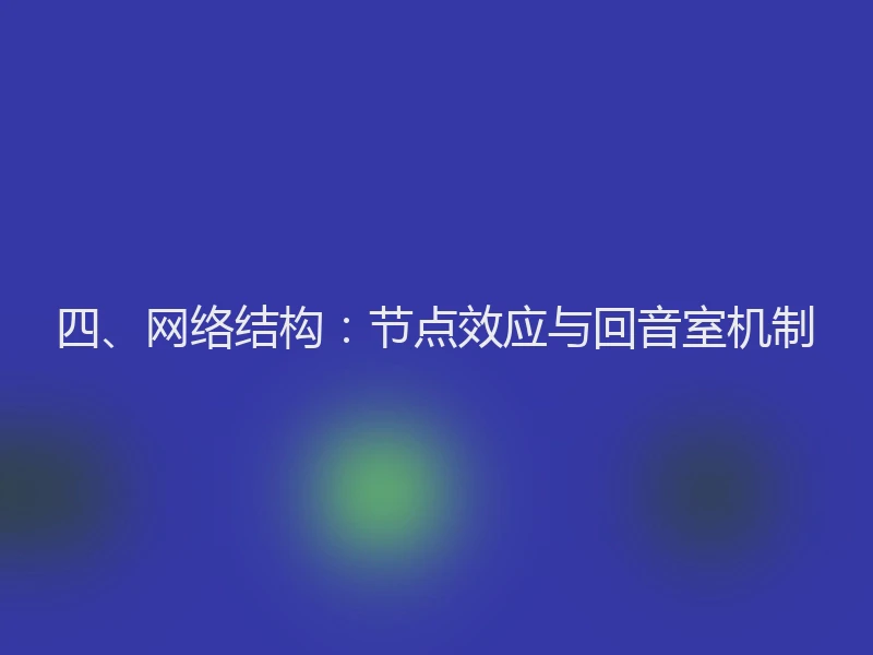 四、网络结构：节点效应与回音室机制