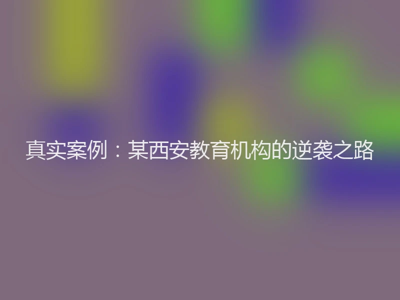 真实案例：某西安教育机构的逆袭之路