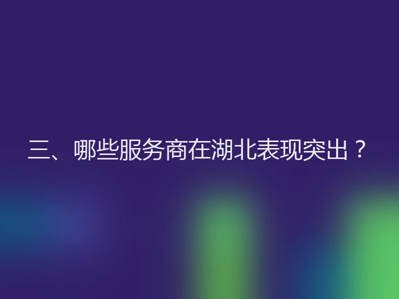 三、哪些服务商在湖北表现突出？