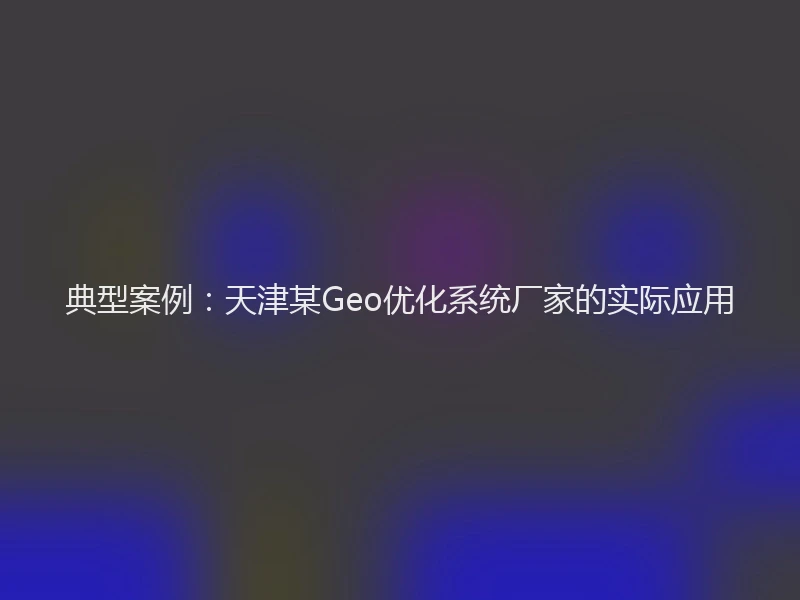 典型案例：天津某Geo优化系统厂家的实际应用