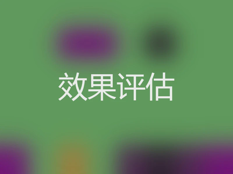 效果评估