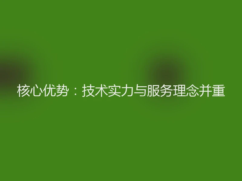 核心优势：技术实力与服务理念并重