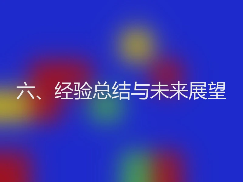 六、经验总结与未来展望