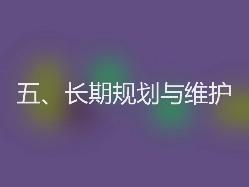 五、长期规划与维护