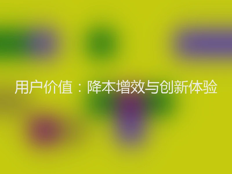 用户价值：降本增效与创新体验
