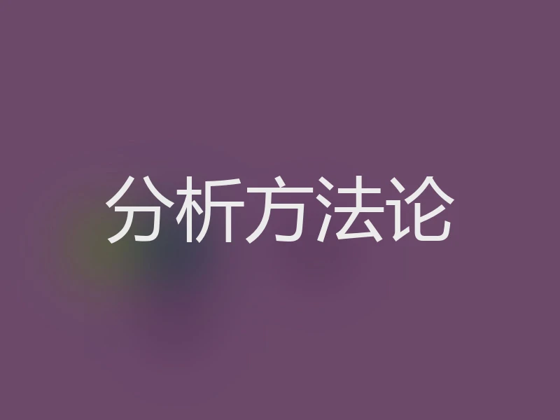 分析方法论
