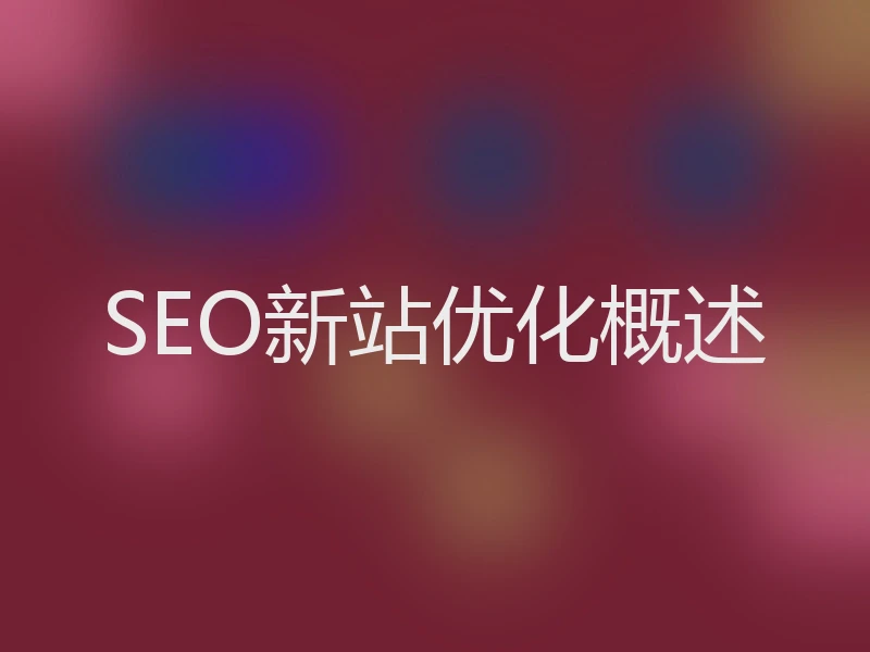 SEO新站优化概述