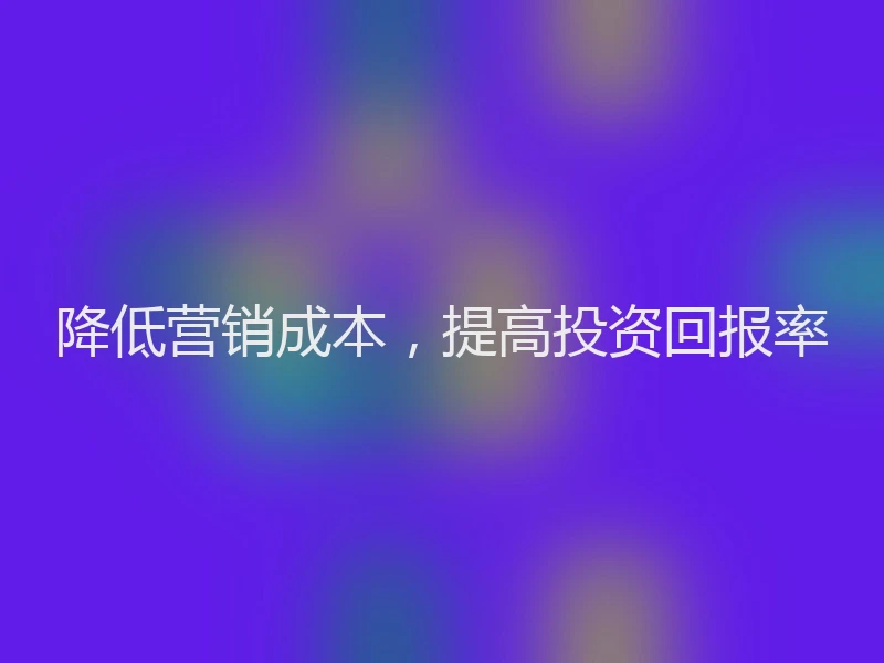 降低营销成本，提高投资回报率